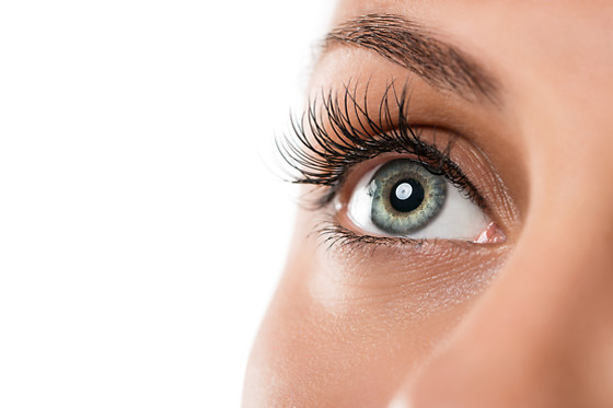 CLINICA ECLIPSE - photo 11