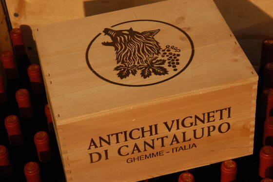 Antichi Vigneti di Cantalupo - photo 11