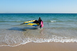 WINGS TARIFA