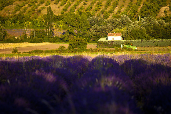 HOTEL RURAL EL VALLE - photo 3