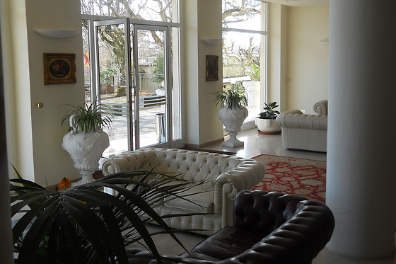Hotel Quisisana - photo 6