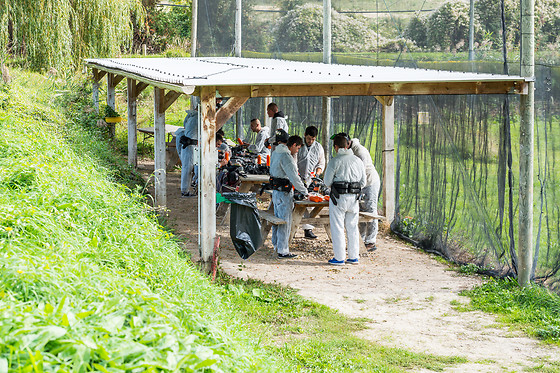 Paradise Paintball - photo 9