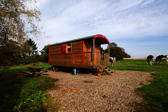 Ferme de la gortière - photo 8
