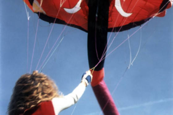 Windsport italy - photo 0