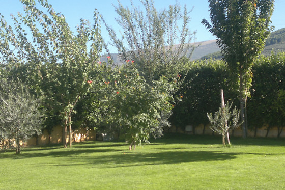 B&B Umbria Verde - photo 3