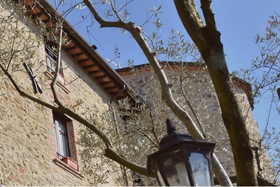 La Petronilla - - photo 2