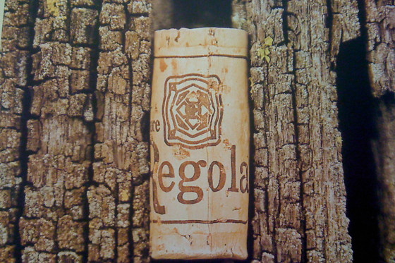 Podere La Regola - photo 2