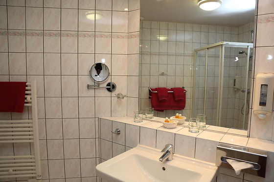 Le Relais Vosgien - photo 27