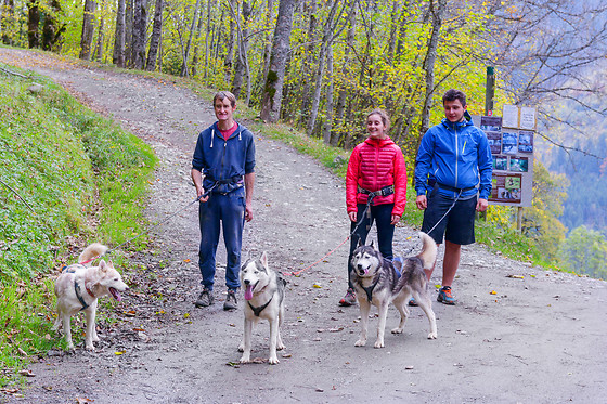 Elevage canin du clos de la vallée blanche - photo 1
