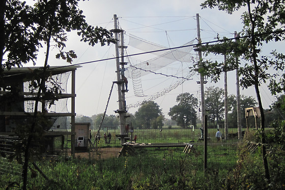 Forêt adrénaline rennes gayeulles - photo 2
