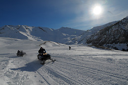 SLEDS