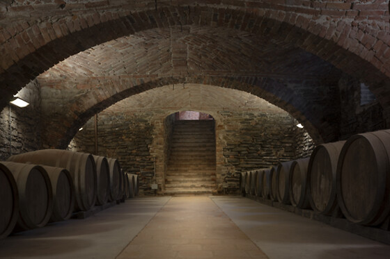 CANTINE LUZI DONADEI FABIANI - photo 1