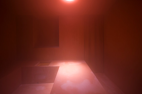 Wu Wei - photo 7