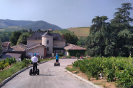 Mobilboard Beaujolais