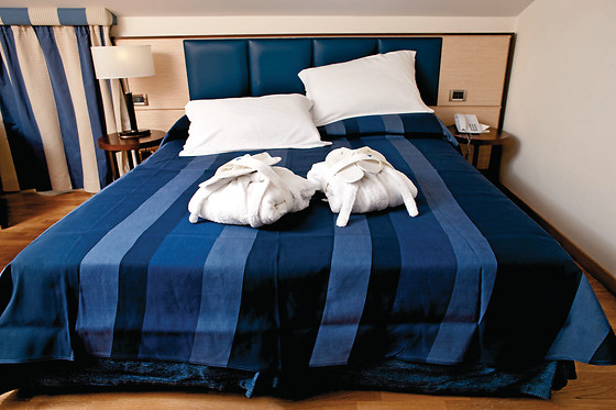 Virgilio Grand Hotel - photo 6