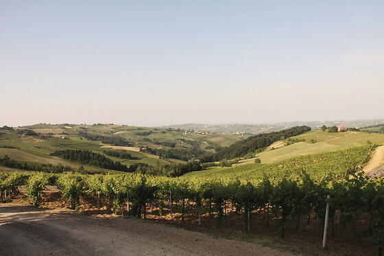 Azienda Agricola La Piotta - photo 0