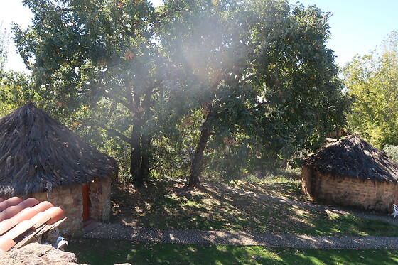 LA ALDEA DE YUSTE - photo 2