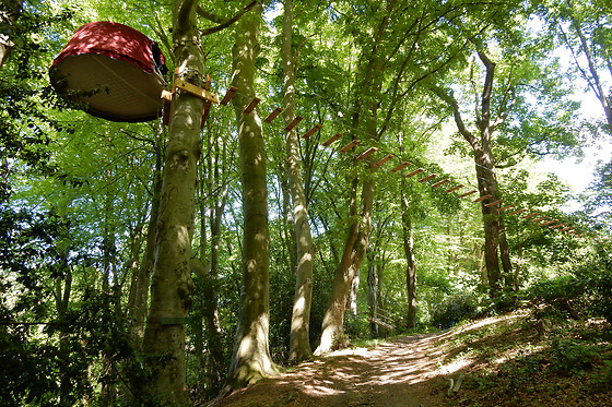 Woody park - photo 9