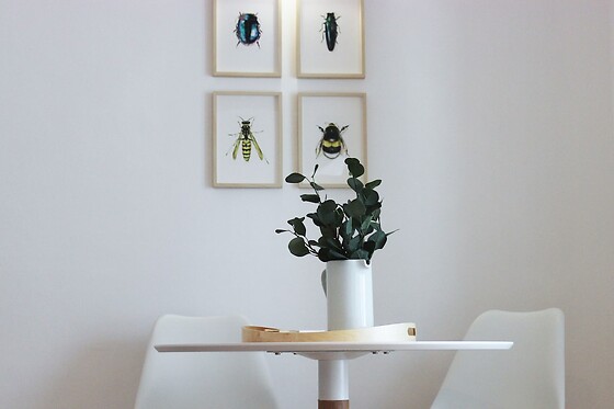 Online Booking EPS - photo 4
