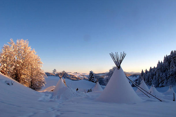 Café & Restaurant Le Pont de la Loire - photo 10