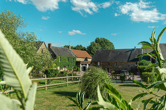 La Ferme des Epis - photo 3