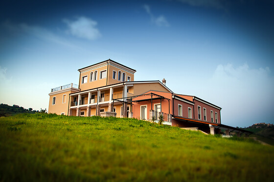 D'alesio Sciarr - photo 5