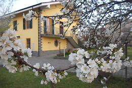 B&B Pervinca