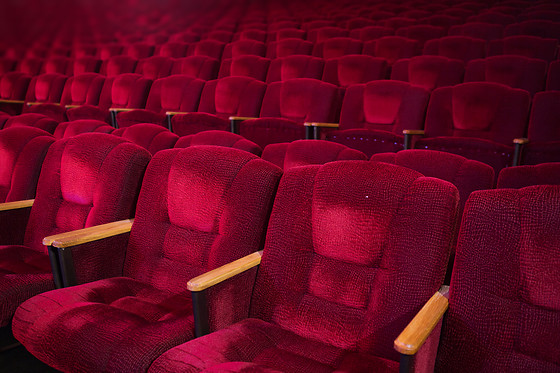 VIU EL TEATRE - photo 6