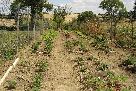 L'Oustaou - photo 7