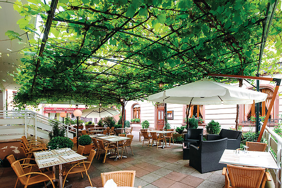 Hôtel du Parc*** Welness & Spa - Restaurant L'Alexain - photo 19