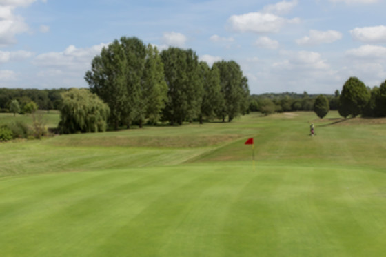 Ugolf Metz - photo 11