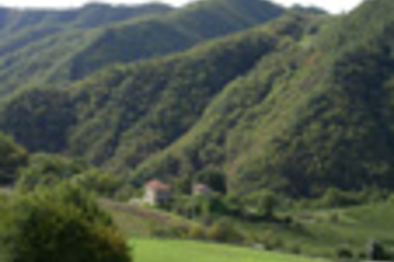 Azienda Agrituristica Badia di Susinana - photo 4