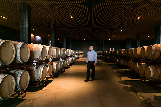 BODEGAS LAUS - photo 0